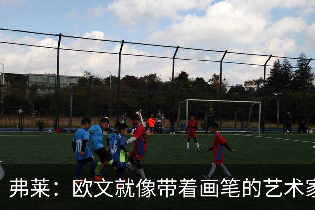 弗莱：欧文就像带着画笔的艺术家 他的进攻动作衔接就像画画一样